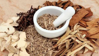 Ramuan Alami Ampuh: Campuran Lada Hitam dan Cuka untuk Usir Serangga