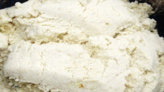 Cara Cepat Bikin Pakan Sapi dari Ampas Tahu: Murah, Gampang, dan Kaya Nutrisi