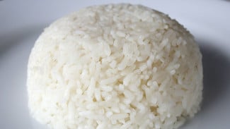 Rahasia Agar Nasi di Magicom Tidak Cepat Basi, Praktis dan Mudah!