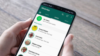 Cara Menyimpan Status WhatsApp Tanpa Screenshot, Gampang & Legal Tanpa Aplikasi Tambahan