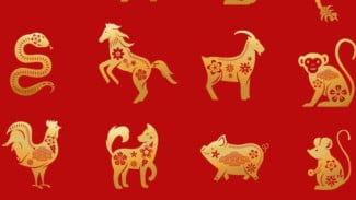 Siap-Siap Kaya Raya! Ramalan Shio Ini Bakal Mendapat Kesuksesan Luar Biasa di 2025