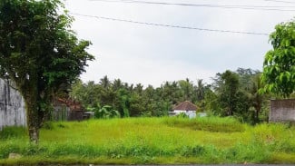 Ingin Hindari Tanah Disita Negara? Ikuti Tips dari BPN Ini Sekarang Juga!