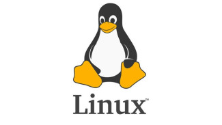 Alasan Utama Kenapa Linux Tidak Populer di PC Walaupun Gratis dan Aman!