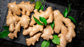 Inilah Rahasia Jahe dalam Mengontrol Kolesterol dan Melindungi Jantungmu!