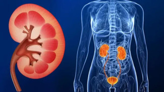 Waspada! Ini Dia Gaya Hidup Anak Muda yang Bisa Picu Gagal Ginjal Prematur