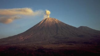 Erupsi Gunung Semeru Teramati Pagi Ini, Kolom Abu Capai 700 Meter!