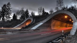 Masjid Al Aqsa Terancam Ambruk! Terowongan Rahasia Israel Sudah 550 Meter