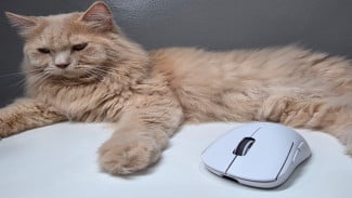 Logitech G Pro X Superlight 2c: Monster Kecil Periferal eSports