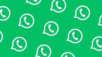 Meta Uji Coba Langganan Berbayar WhatsApp untuk Hapus Iklan