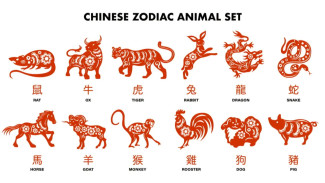 Shio Anda Termasuk? Ini 3 Zodiak Paling Hoki Hari Ini, Rezeki & Cinta Mengalir!