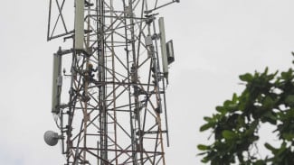 Siasat Surge dan Mora Kuasai Pasar Internet FWA 5G