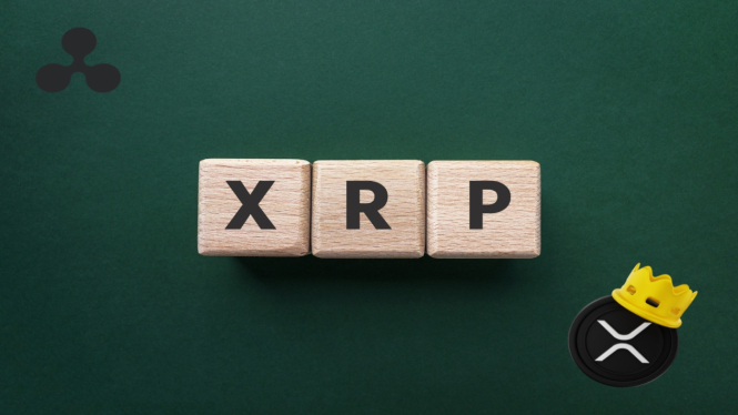 XRP Bakal Naik atau Turun? Simak Potensi Pergerakan Harganya Pasca Gugatan SEC