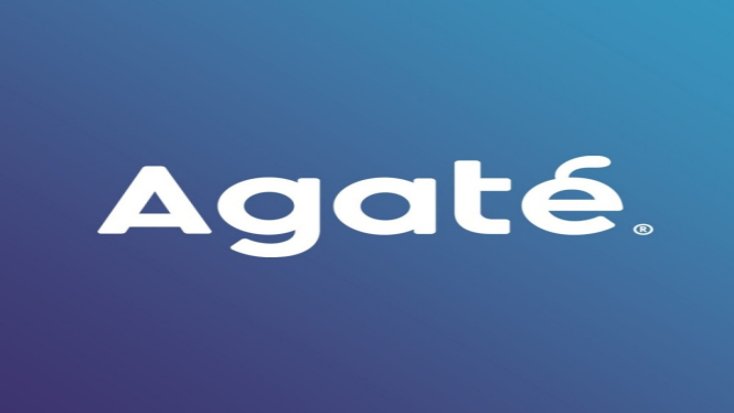 Agate Game Course Batch 5: Cetak Talenta Gim Lokal Berstandar Internasional
