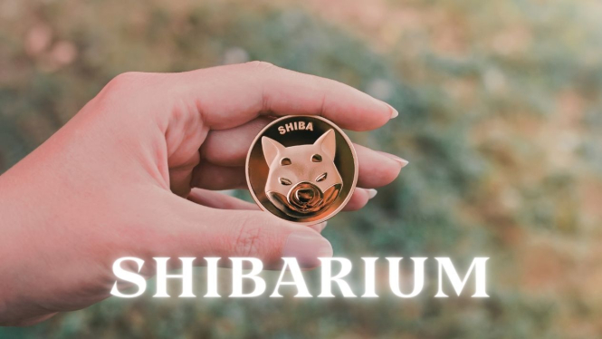 Shibarium Shiba Inu: Fitur Donasi Baru Tingkatkan Pembakaran Token
