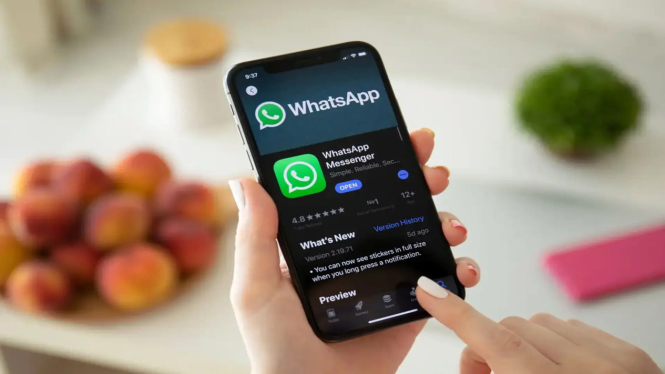 WhatsApp Siap Manjakan Pengguna dengan Fitur Upload Otomatis HD!