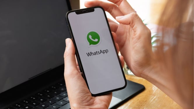 Trik Mengembalikan Pesan WhatsApp yang Tak Sengaja Terhapus