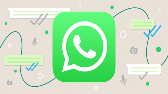 Chat Jadi Lebih Mudah: WhatsApp Uji Coba Fitur Kontak Favorit!