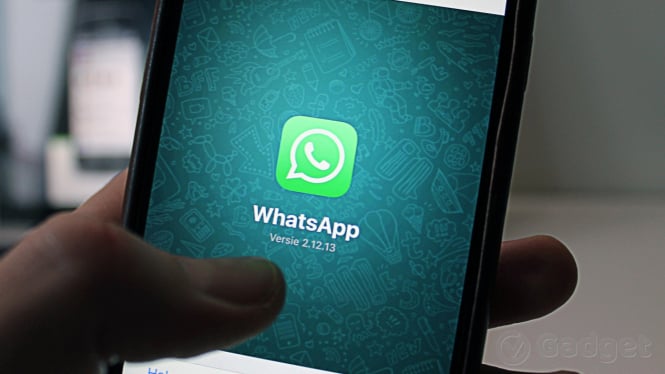 Download WA GB WhatsApp Pro APK 2024 Versi Terbaru dan Terupdate!