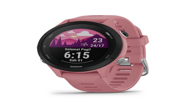 Warna Garmin Forerunner 255S