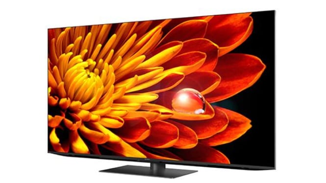 Sharp Aquos XLED TV 4T-C65FV1X