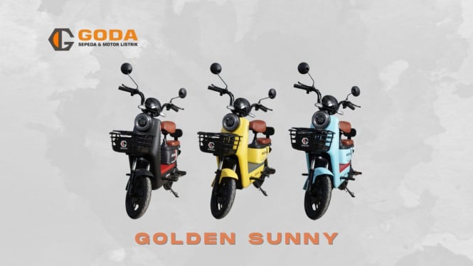 GODA Golden Sunny: Speda Listrik dengan Harga Paling Terjangkau, Rekomendasi untuk Semua Umur