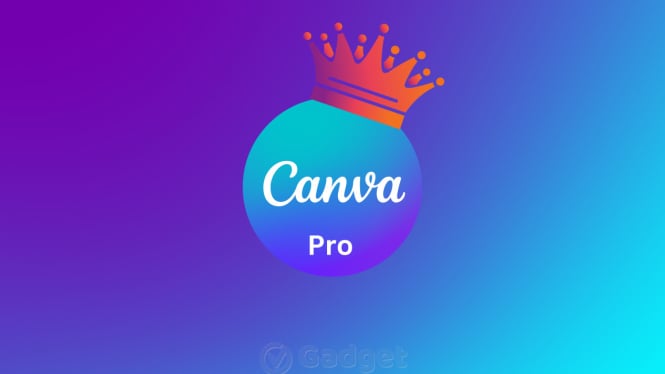 Canva Pro