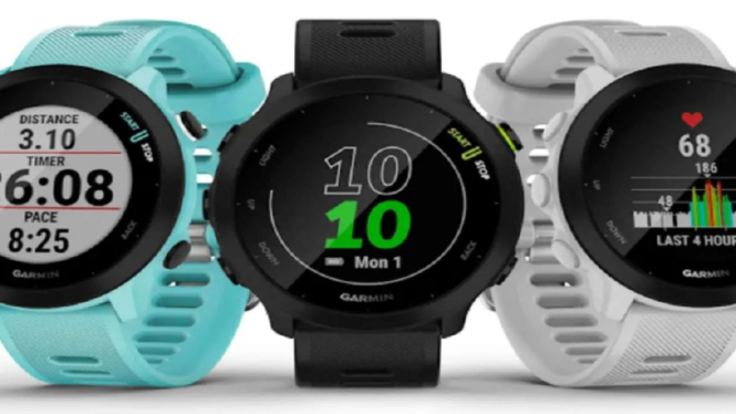 Garmin Forerunner 55