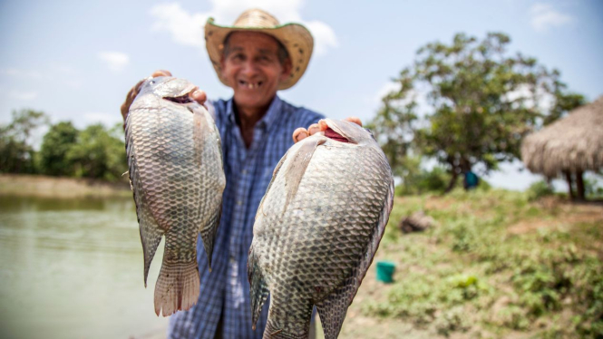 8 Teknik Ampuh Memancing Ikan: Cepat Dapat Banyak Hasil, Simak Langkahnya!