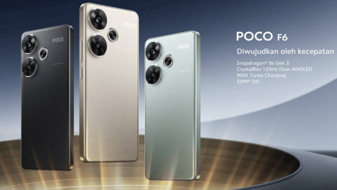 Poco F6