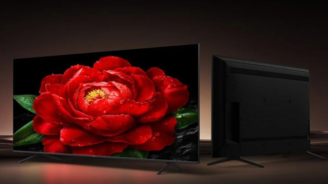 TCL Hadirkan TV QLED 50 Inci