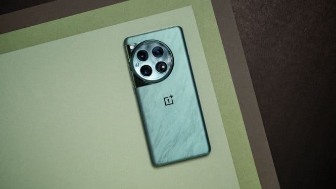 OnePlus 13