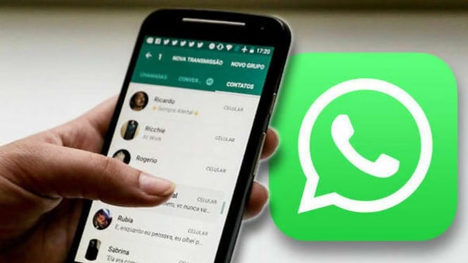 WhatsApp Uji Coba Fitur 'Baca Semua' di Versi Beta Android untuk Kelola Chat Lebih Mudah