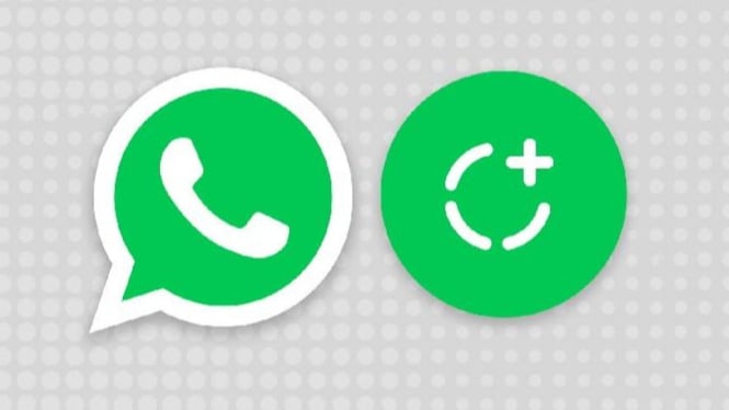 Cara Mudah Mengubah Warna Chat Bubble WhatsApp dan Latar Belakang