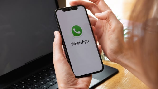 Jangan Panik! Begini Cara Mendapatkan Kode Verifikasi WhatsApp Jika Nomor Hilang