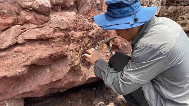 Penemuan Fosil Dinosaurus di Hong Kong, Momen Bersejarah!