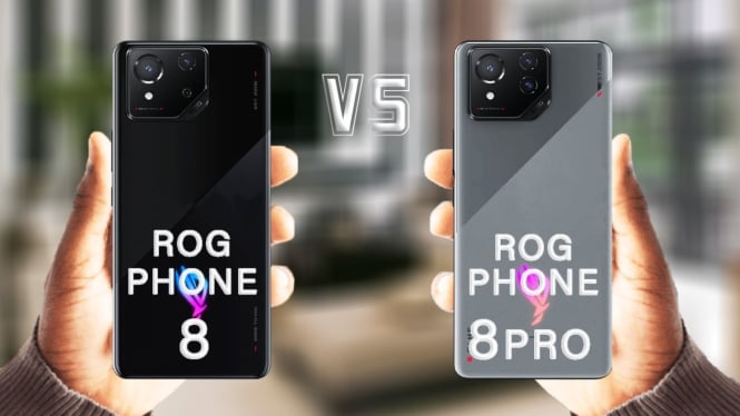 Asus ROG Phone 8 vs ROG Phone 8 Pro