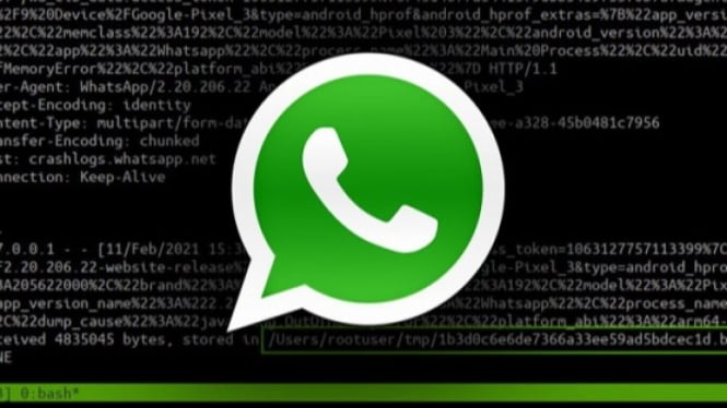 3 Cara Mudah Mengembalikan Akun WhatsApp yang Diretas, Dijamin Berhasil!