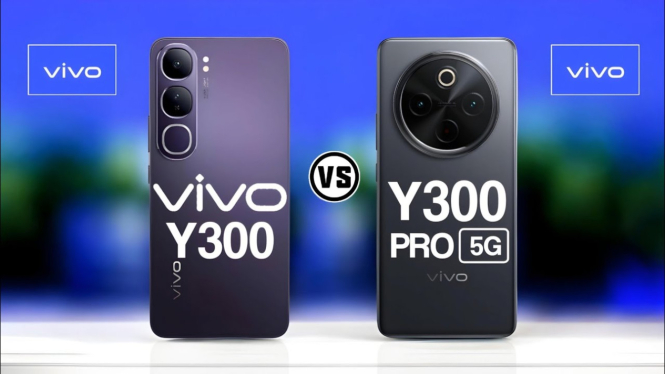 Vivo Y300 5G vs Vivo Y300 Pro 5G