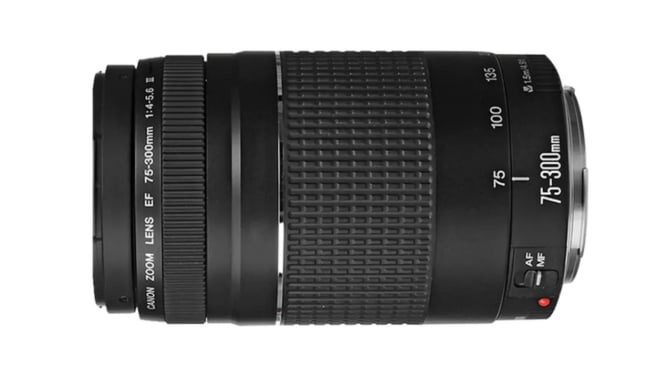 Canon EF 75-300mm f/4-5.6 III: Lensa Telefoto Terjangkau untuk Hasil Foto Tajam dan Fokus Cepat