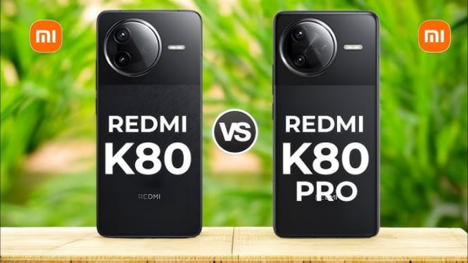 Xiaomi Redmi K80 vs Redmi K80 Pro