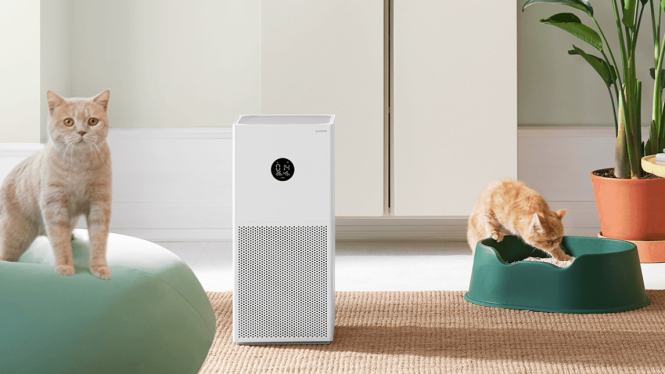 Lima Rekomendasi Air Purifier Terbaik Rp 1 Jutaan Tahun 2024