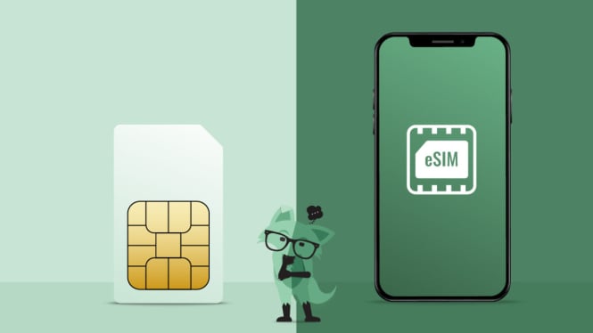 Perbedaan eSIM dan SIM Card Biasa: Pilih yang Tepat untuk Gaya Hidupmu!