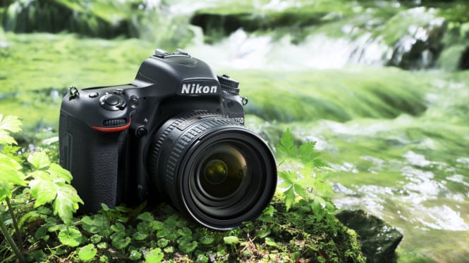 Nikon D750: Panduan Lengkap untuk Fotografer