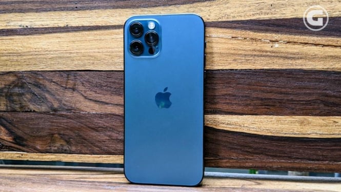 Update Harga Iphone 12 Pro Max Jelang Tutup 2024, Turun Drastis!