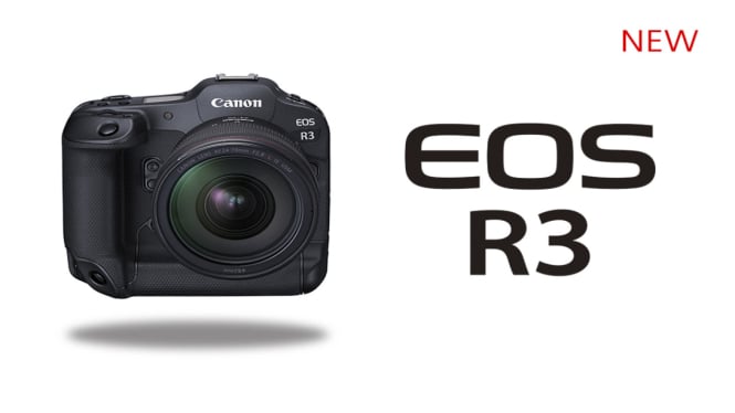 Canon EOS R3: Solusi Profesional untuk Fotografi