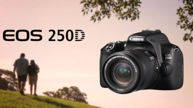 Canon EOS 250D: Kamera Ringan yang Bikin Pemula dan Profesional Jatuh Cinta!