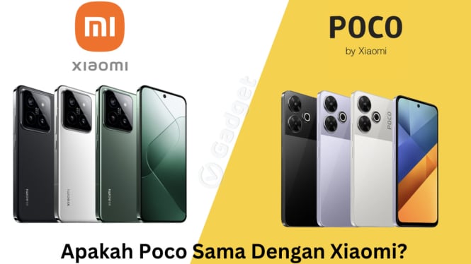 Perbedaan Xiaomi dan POCO