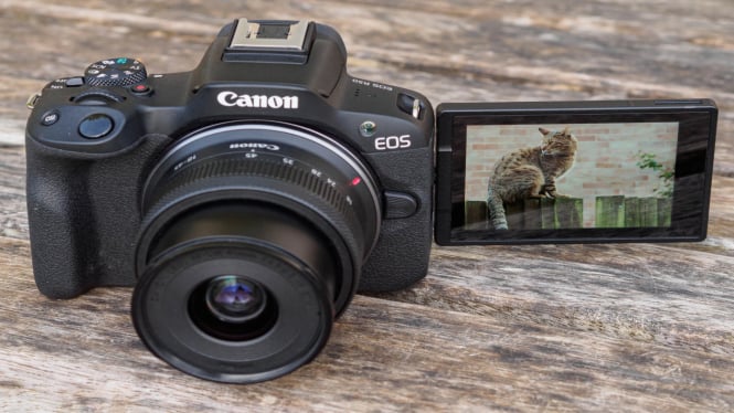 Canon EOS R50: Kamera Mirrorless Andal untuk Segala Kebutuhan Fotografi