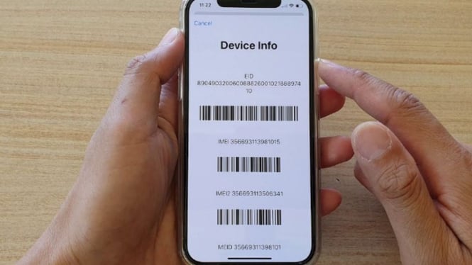 4 Cara Cek Nomor IMEI iPhone Bekas agar Tidak Rugi, Simak Panduannya!