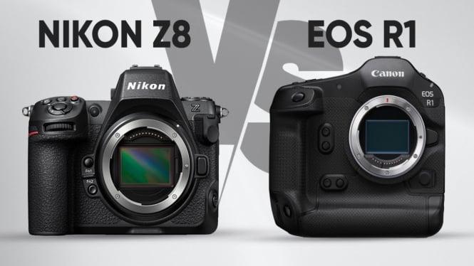 Canon EOS R1 vs Nikon Z8